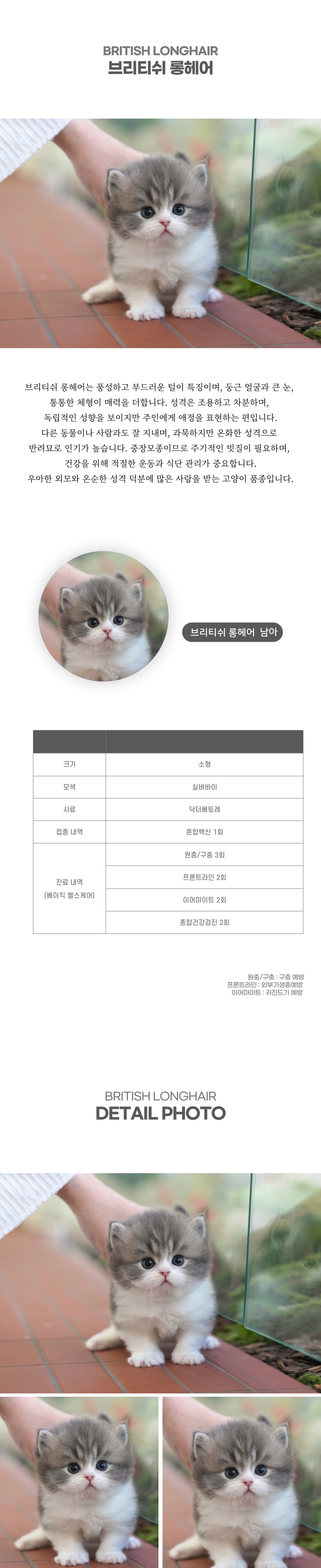 브리티쉬롱헤어_상세이미지_2